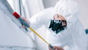 Best Residential Pest Control  in Chesterfield, IN